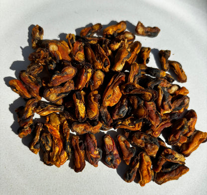 Mussels For Dogs & Cats