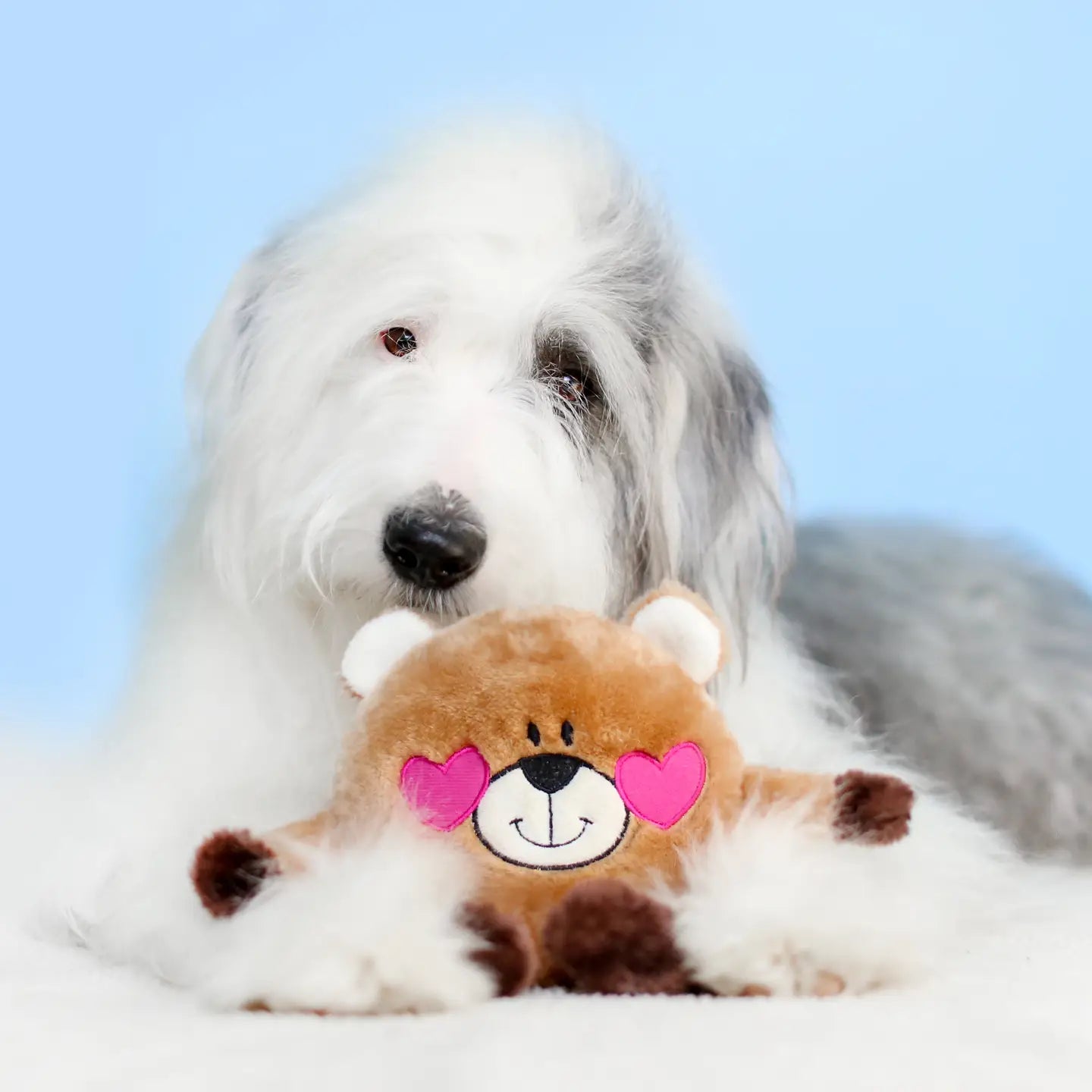 Brainey Bear In Love Squeaky Dog Toy