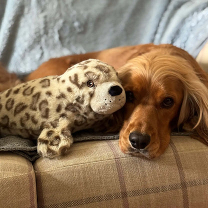 Cuddle Tough Tummies Treat Dispenser Toy - Seal