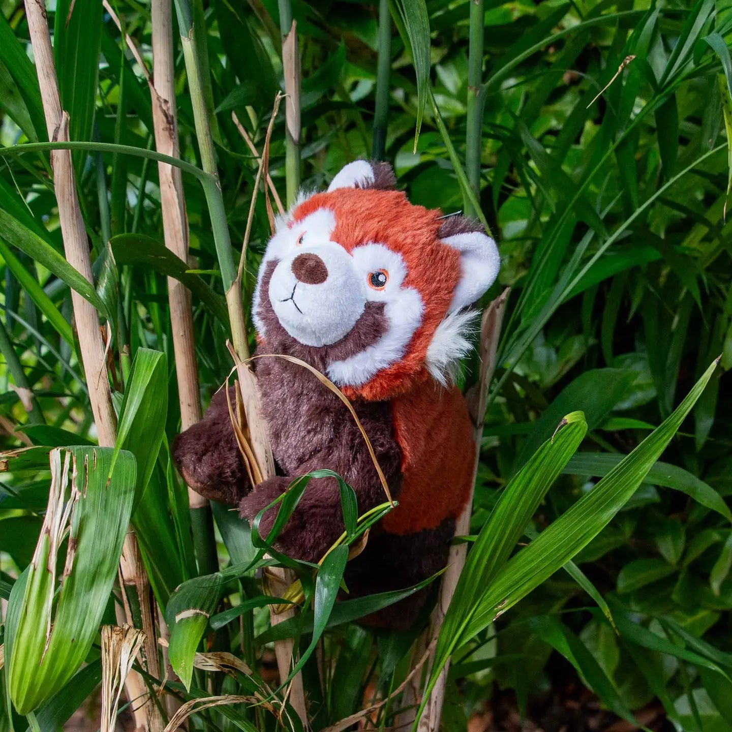 Rosa Red Panda Eco Friendly Dog Toy