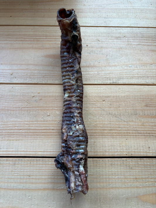 Lamb Trachea Natural Dog Treat
