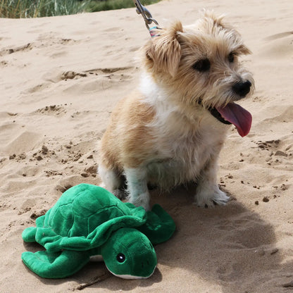 Eco Friendly Snuggle Turtle Dog Toy