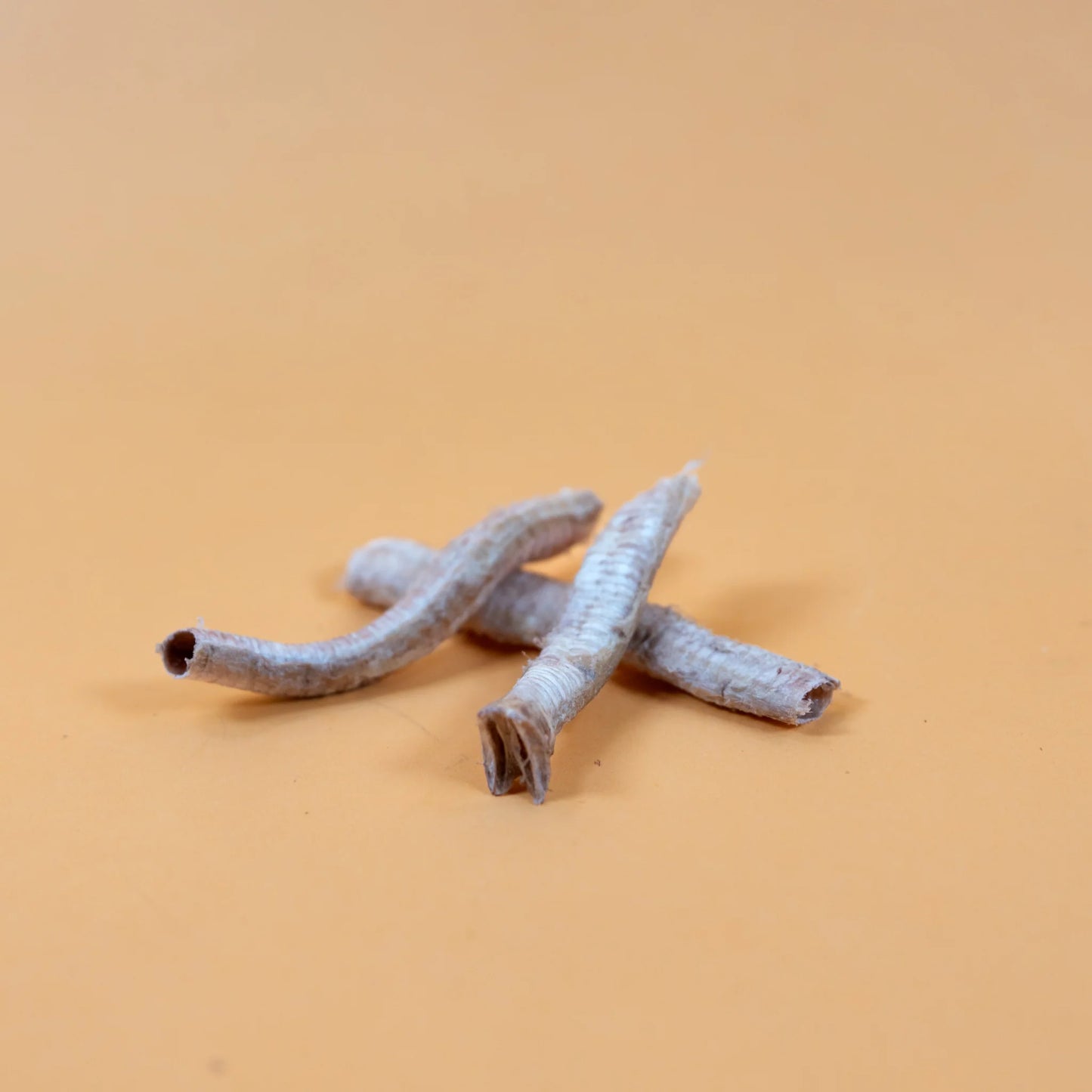 Waita Freeze Dried Goose Trachea 25g