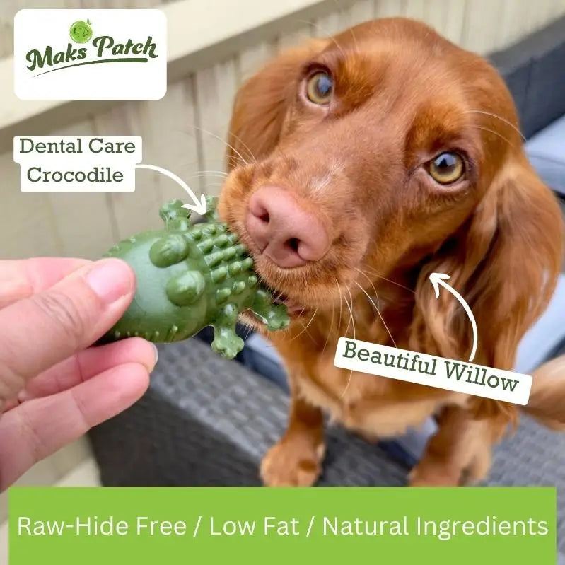 Veggie Dog Treat Dental Chews - Maks Patch "Croc Bites"