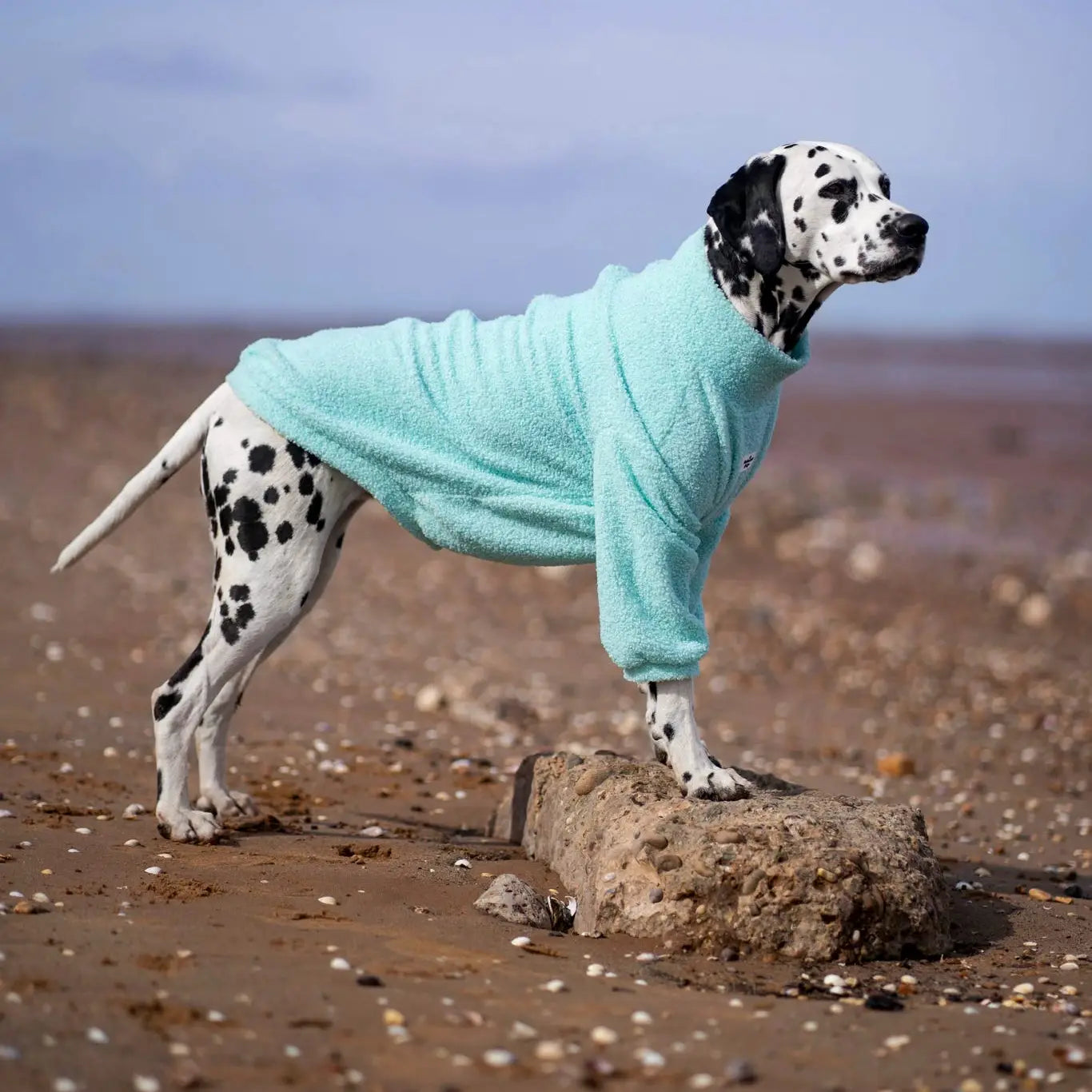 Paw Print Boutique Dog Fleece Mint