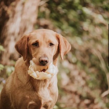 ANCO Natural Buffalo Collagen Braided Ring Dog Chew