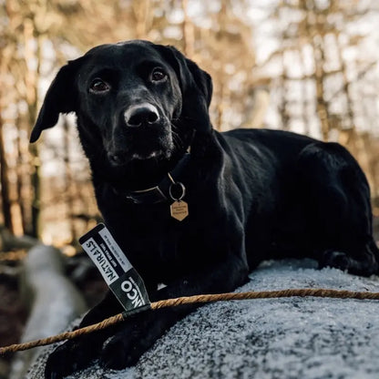 ANCO Giant Natural Buffalo Twist