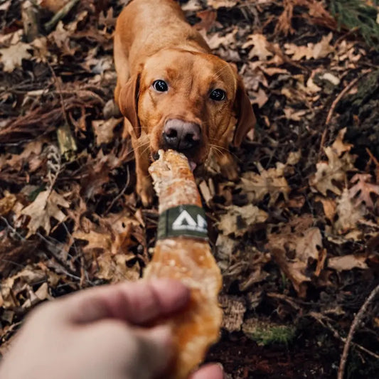 Anco Naturals Buffalo Paddywack Dog Chew
