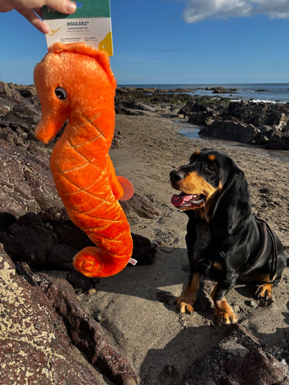 Zippy Paws Jigglerz - Giant Seahorse Squeaky Dog Toy