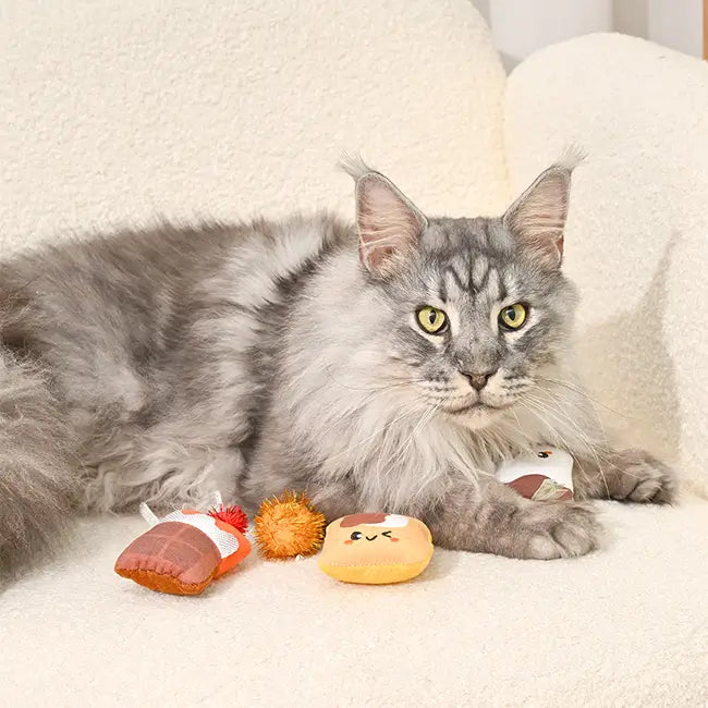 Hugsmart Pet - Camping Claws | Cat S'mores 4 Pack- Cat Toy