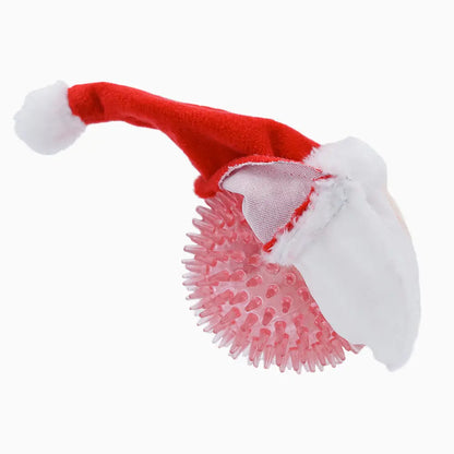 Christmas Santa Squeaky Dog Ball Toy