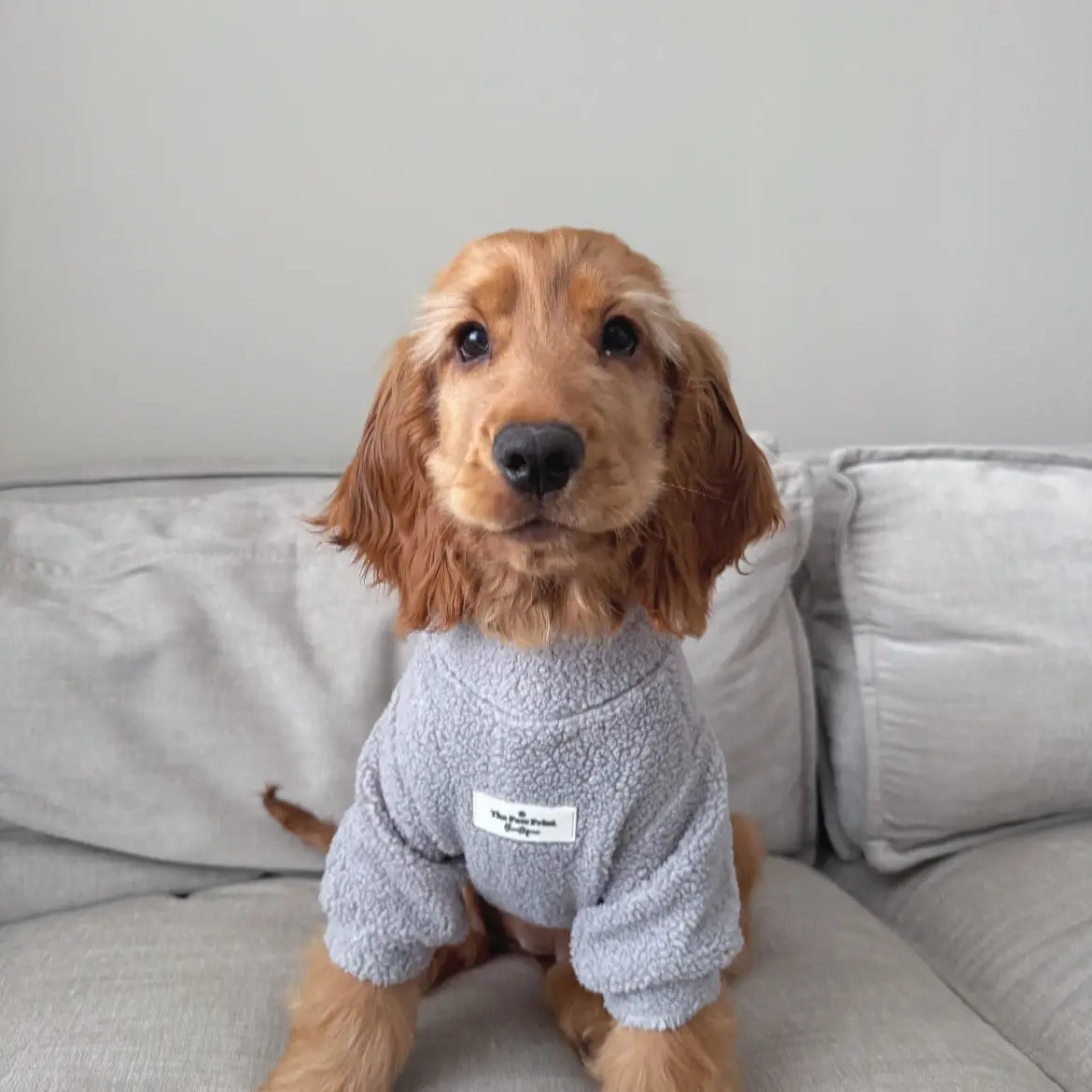 Paw Print Boutique Dog Fleece Grey
