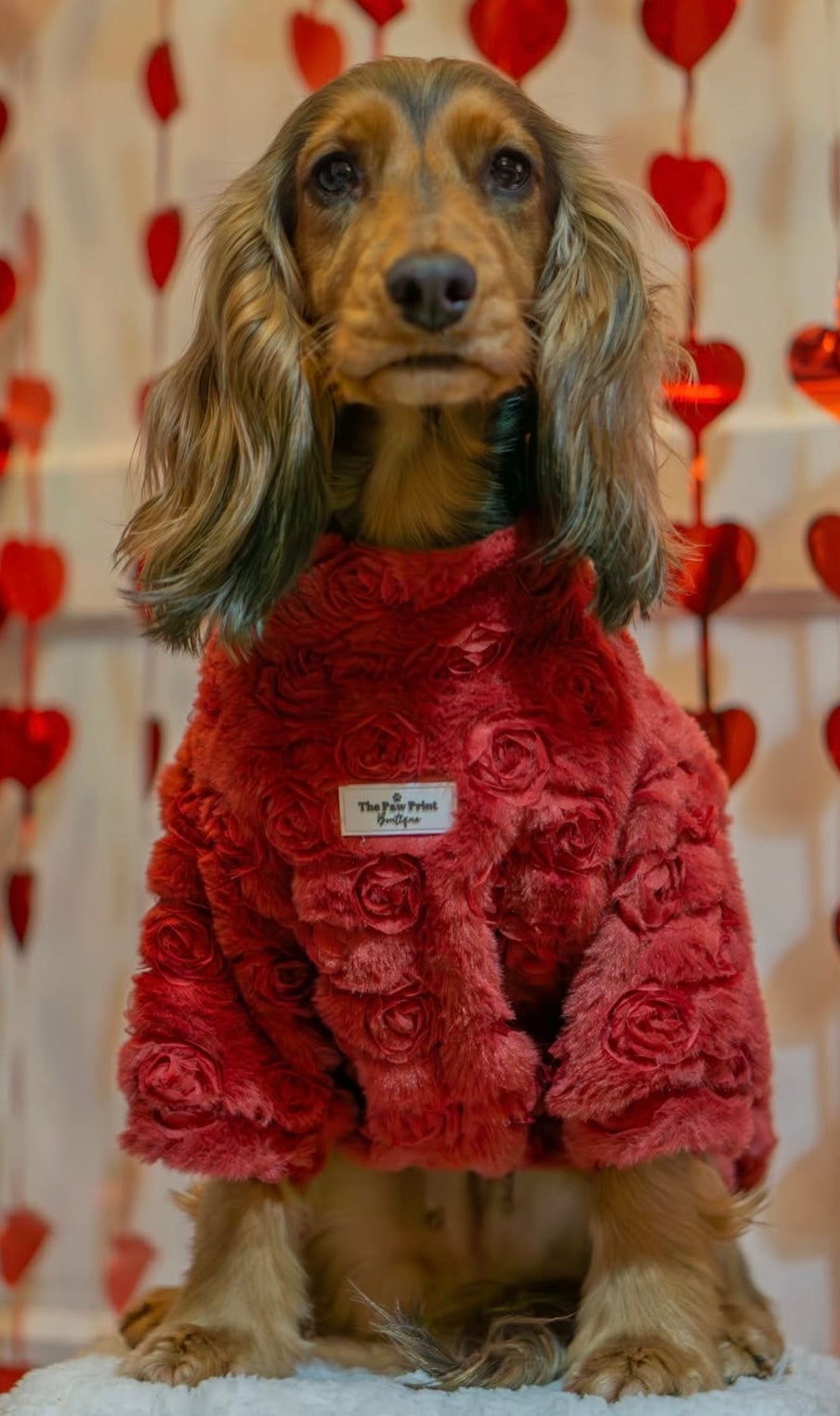 Paw Print Boutique Dog Fleece   The Roses Fleece - Red