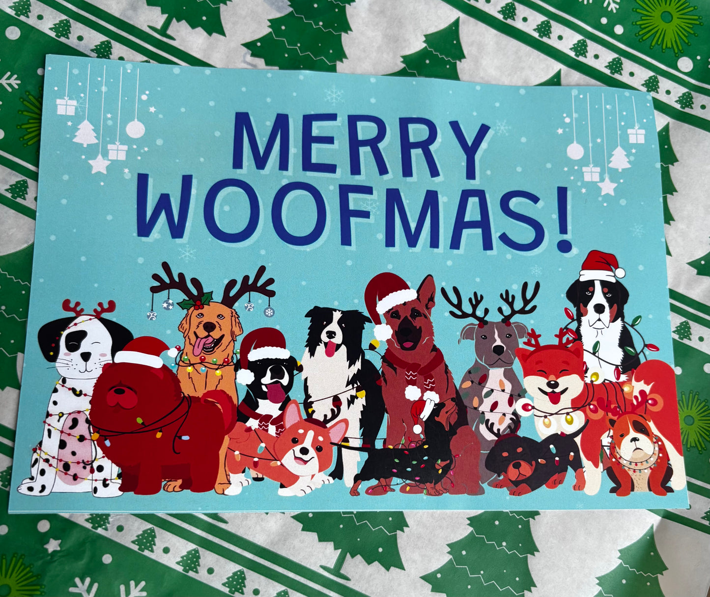 Christmas Toy & Treat Bundle With Christmas Card