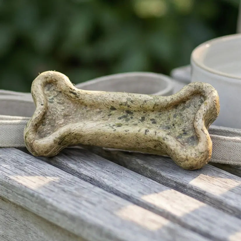 Seaweed Eco Dog Chew Toy
