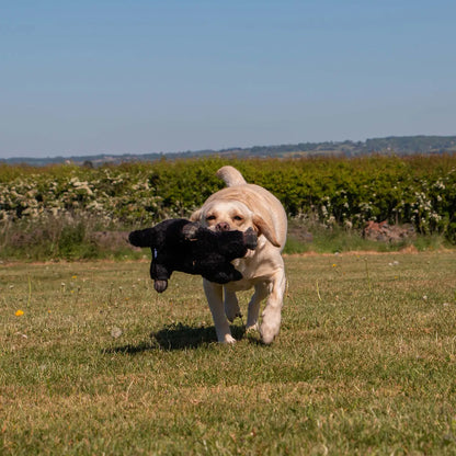 Montgomery Mole Plush Dog Toy With Squeaker