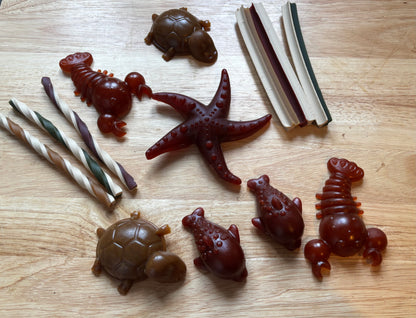 Mixed Fruit & Vegetable Treat Small Bundle Dog Treats & Chews