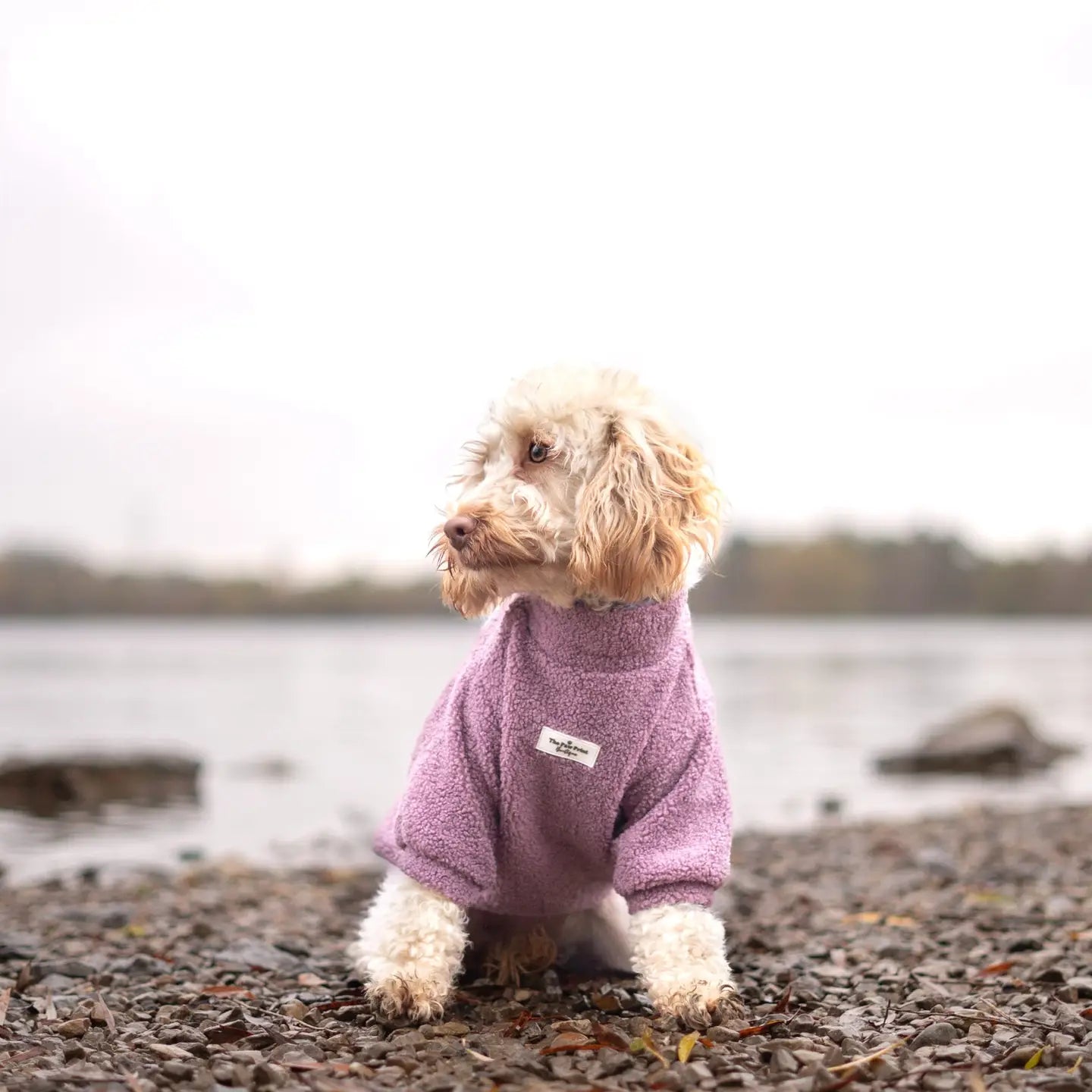 Paw Print Boutique Dog Fleece Mauve