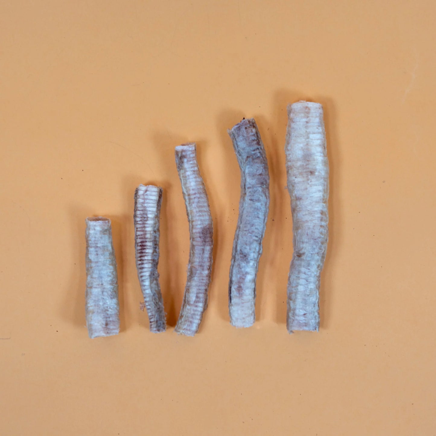 Waita Freeze Dried Goose Trachea 25g