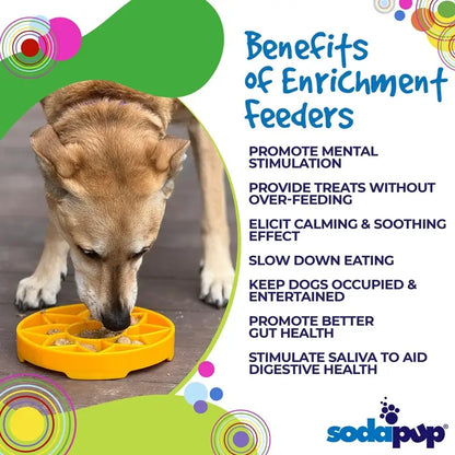 SodaPup Sunflower eTray Enrichment Feeder & Licki Tray