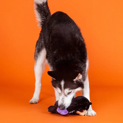 Sloth Bat Plush Squeaky & Crinkle Dog Toy