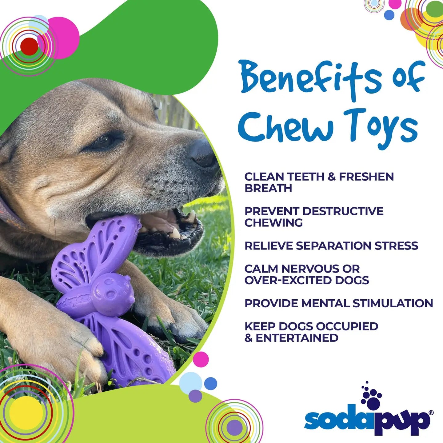 SodaPup Butterfly Nylon Dog Chew & Enrichment Toy