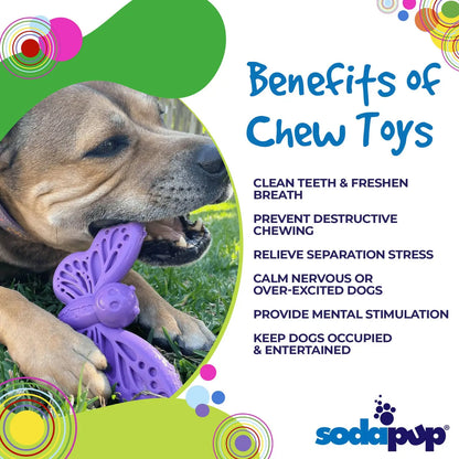 SodaPup Butterfly Nylon Dog Chew & Enrichment Toy