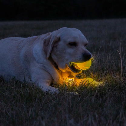 Light Up Rechargeable Led Dog Ball