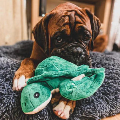 Eco Friendly Snuggle Turtle Dog Toy