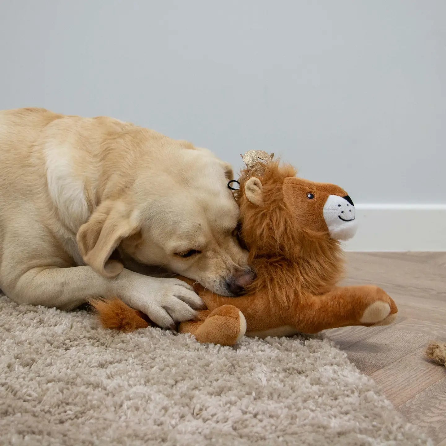 Cuddle King Leo the Lion Dog Toy With Squeaker