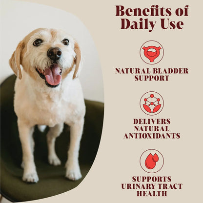 Urinary Support - Cranberry Supplement For Dogs & Cats
