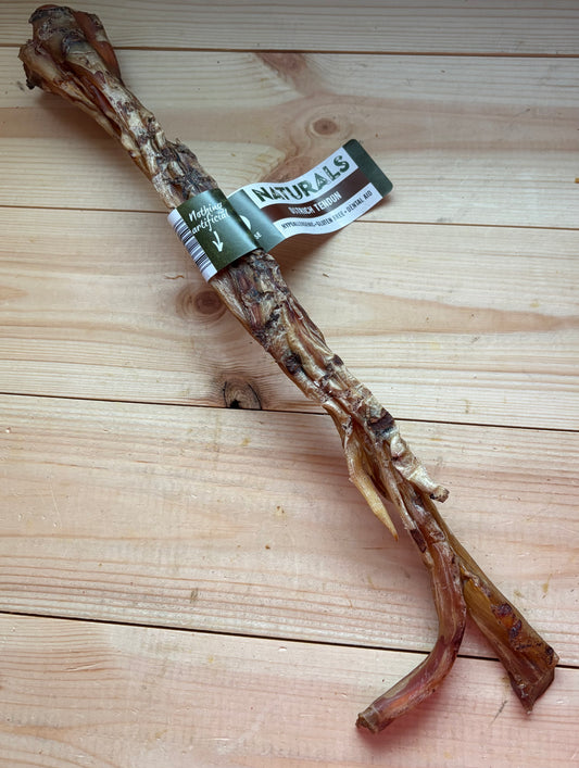 Natural Giant Ostrich Tendons Chew For Dogs Long Lasting Chew