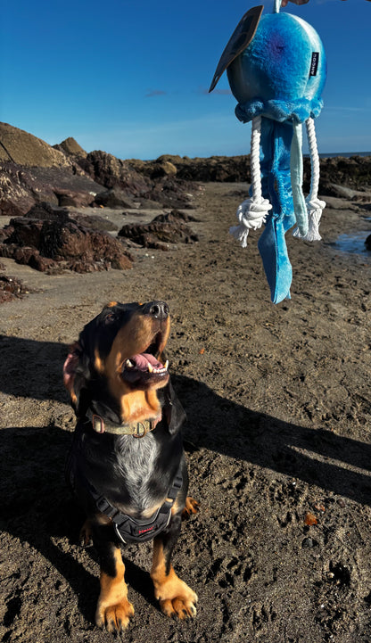 Eco Friendly JellyFish Plush & Rope Squeaky Tug Dog Toy
