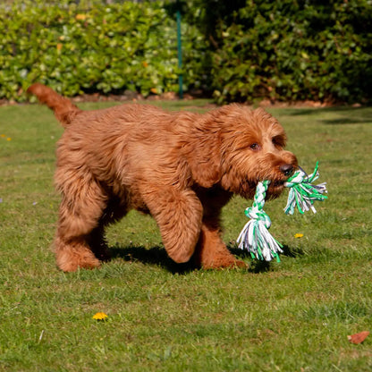 Playtime For Dogs Large Multi-Coloured Rope Dog Tug Toy
