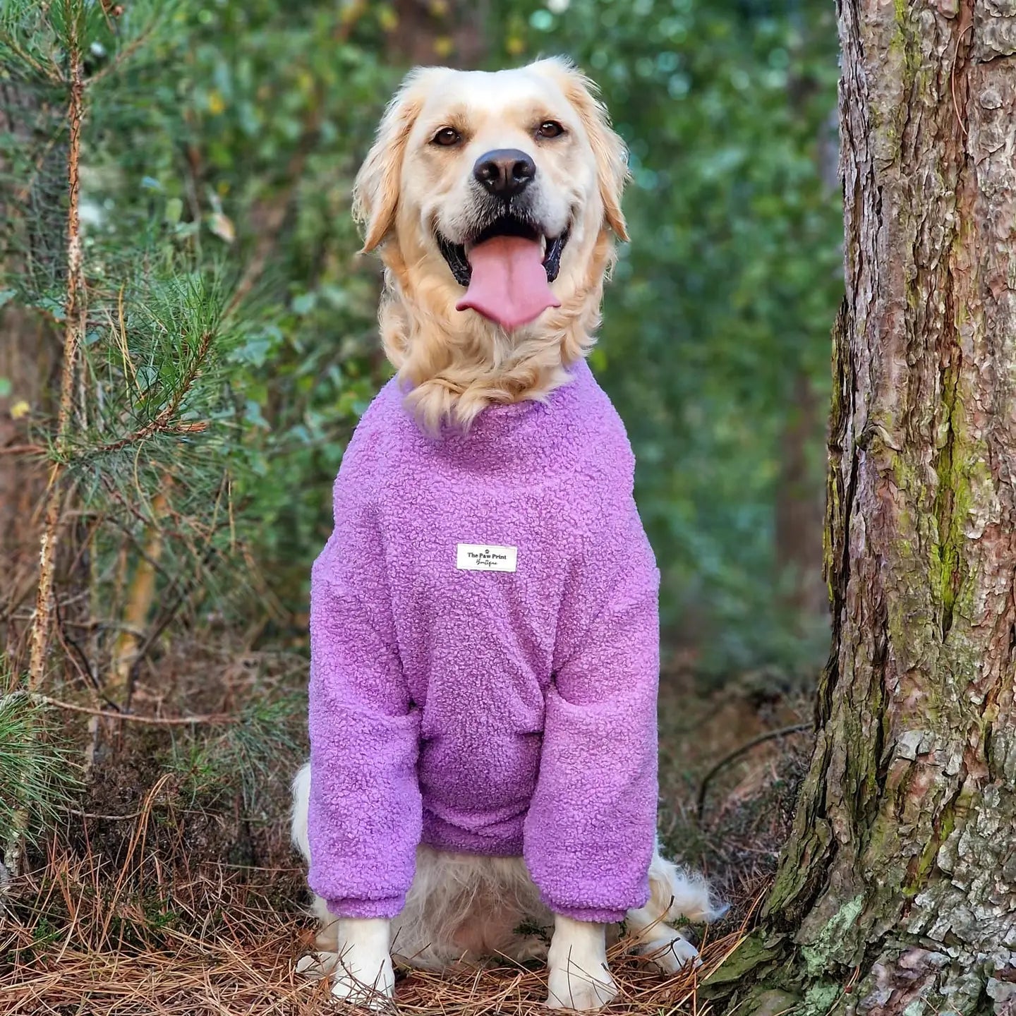 Paw Print Boutique Dog Fleeces Lavender