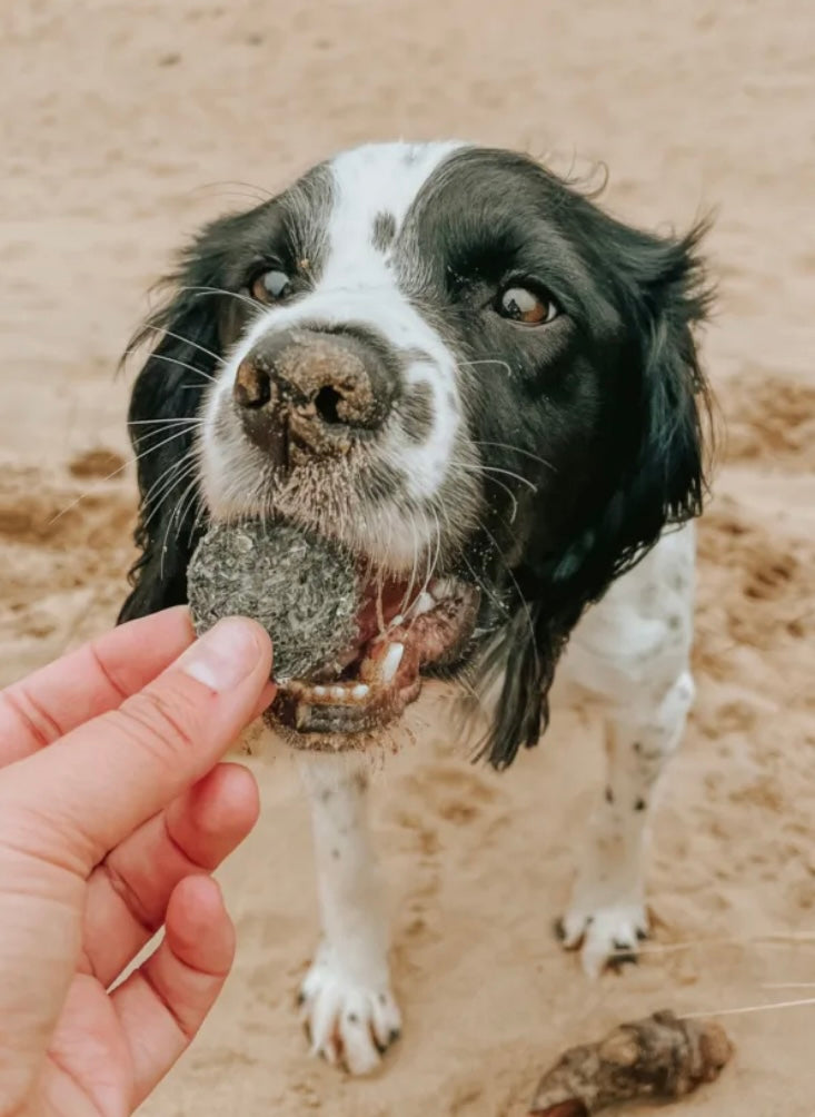 Anco Oceans+ Atlantic Cod Coins with Blueberry 50g