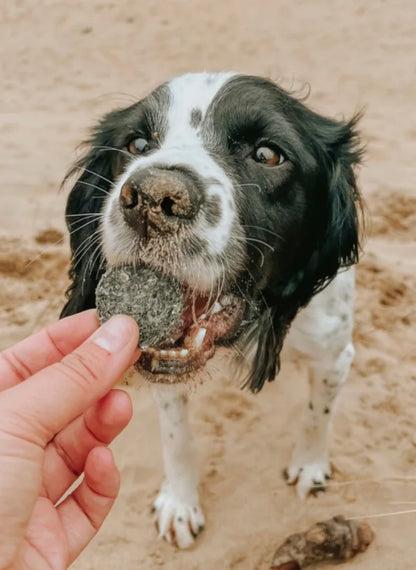 Anco Oceans+ Atlantic Cod Coins with Blueberry Dog Treats 50g