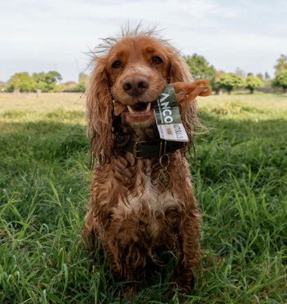 Medium Yak Meat Braid Natural Chew For Dogs