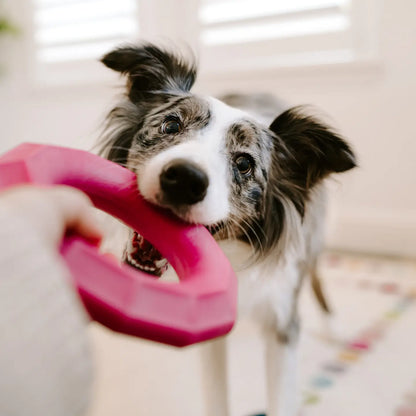 ZippyPaws Zippytuff+ Ring - Tough Dog Toy Emerald or Magenta