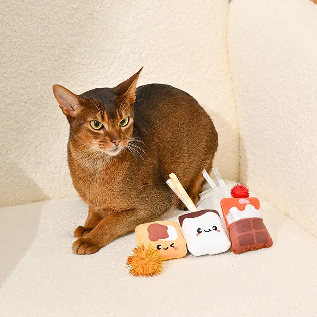 Hugsmart Pet - Camping Claws | Cat S'mores 4 Pack- Cat Toy