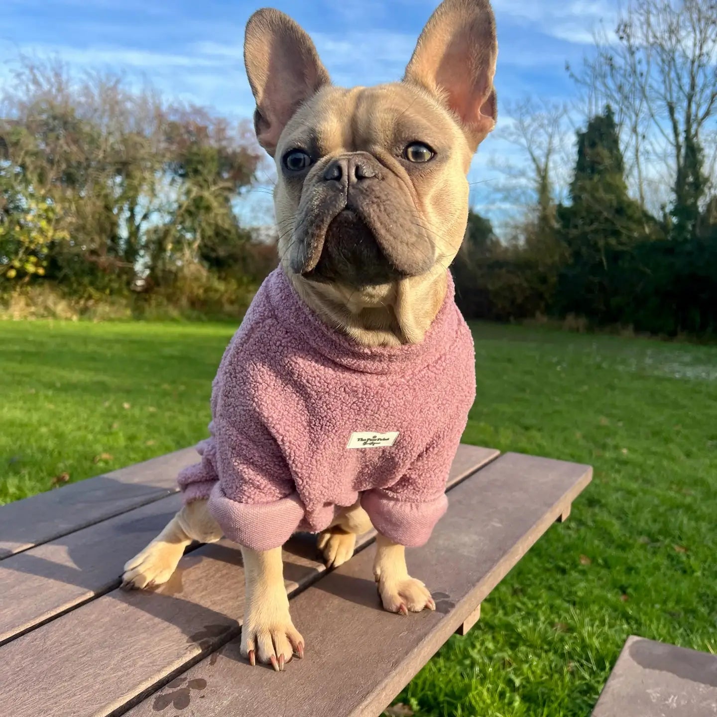 Paw Print Boutique Dog Fleece Mauve