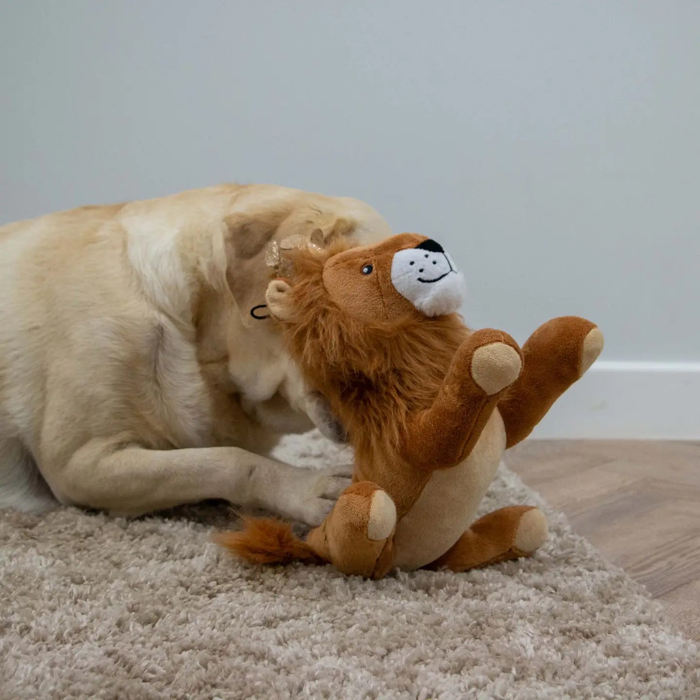 Cuddle King Leo the Lion Dog Toy With Squeaker
