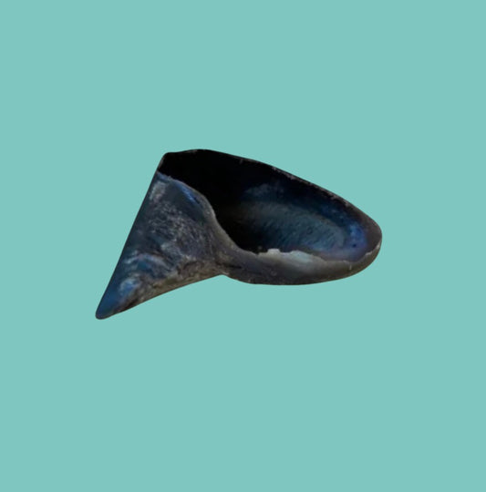 Buffalo Hooves Chew For Dogs