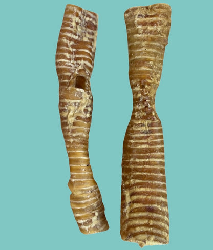 Natural Buffalo Tracheas for Dogs SMALLER THAN USUAL