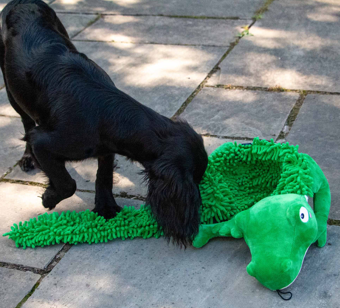 Snuffle Mat Crocodile Crinkly textures and Rolls Up