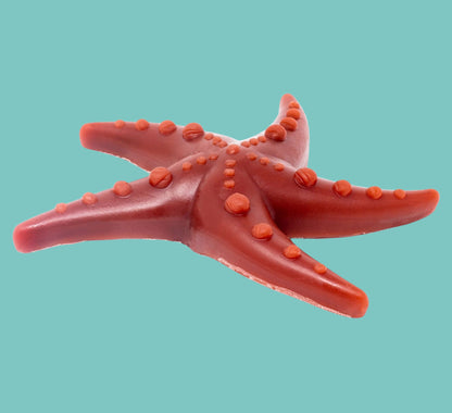 Apple, Mint & Broccoli Starfish Large