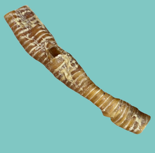 Natural Buffalo Tracheas for Dogs 25cm
