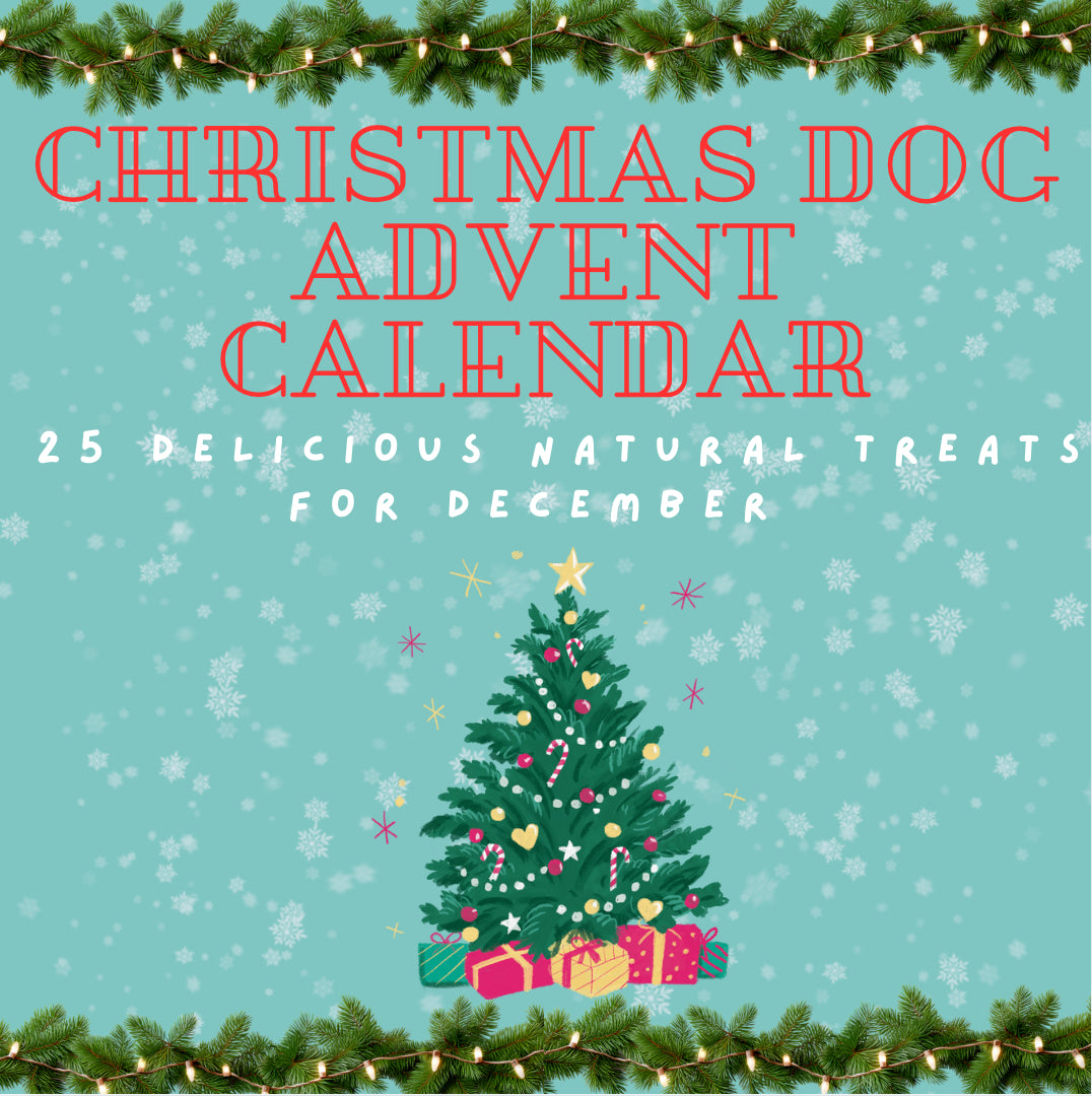 Christmas Natural Treat 25 Item Advent Calendar For Dogs