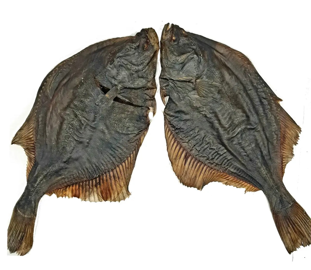 Whole Air Dried Plaice Fish Natural Dog Treat – Happy Woofs and Purrs