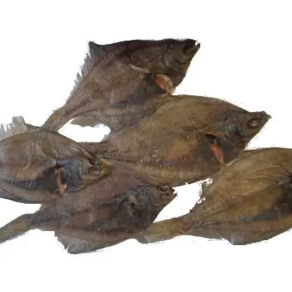 Whole Plaice Fish